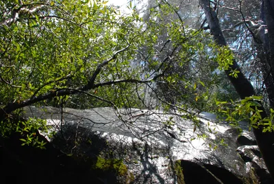 DSC_0079 (Large).JPG